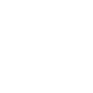 Bluesky Icon