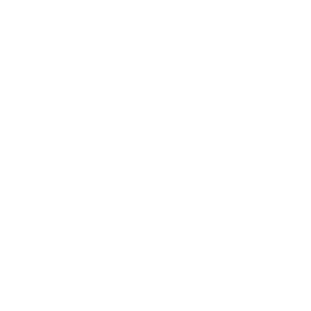 Substack Icon