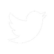 Twitter Icon